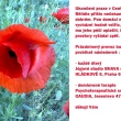 Letn� provoz